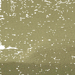 a_group_of_ants_in_water_cant_be_submerged.gif