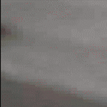 accident57.gif