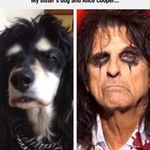 alice_cooper_dog.jpg