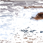 alkulämmöt.gif