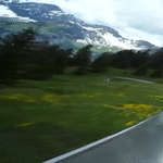 alpine_summer_luge_in_switzerland.gif