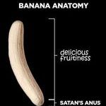 anatomy_of_a_banana.jpg
