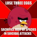 angry_birds6.jpg