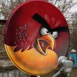 angry_birds_satellite_dish.jpg