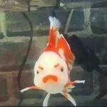 angryfish3.jpg