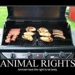 animal_rights.jpg