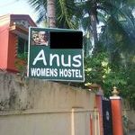 anus_.jpg