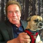 arnold_and_dog.jpg