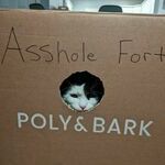 assholefort.jpg
