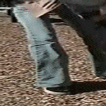 auta_ny.gif