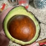 avokado3.jpg