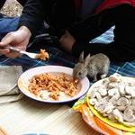 awwwww_omnomnomnom.jpg