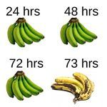 bananas3.jpg