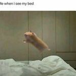 banzaiii.jpg