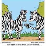 barcode_zebras.jpg