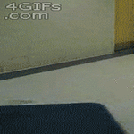 basic_day158.gif