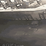basic_day56.gif
