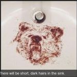 bear_2.jpg