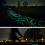 beautiful_glowing_bicycle_path.jpg