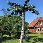 beerpalm.jpg