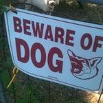beware_of_dog3.jpg