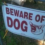 beware_of_dog3.jpg