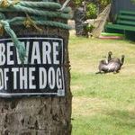 beware_of_the_dog.jpg