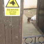 beware_of_the_dog2.jpg