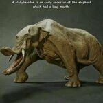 bigmouthelephant.jpg