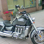 biker_dog.jpg