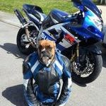 biker_dog2.jpg