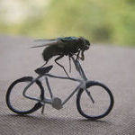biker_fly.jpg