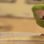 bird21.gif