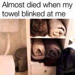 blinded_towel.jpg