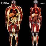 body_scans_of_two_women_250lb_vs_120lb.jpg
