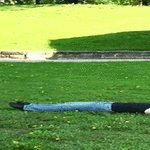 boingss8.gif