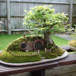 bonsai_hobbit_home.jpg
