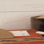 boxcat3.gif