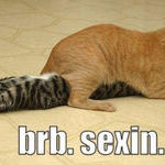 brb_sexin.jpg