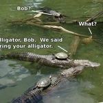 bring_your_alligator.jpg