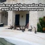 brontosaur.jpg