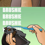 brushing_bats.jpg