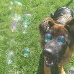 bubble_eyes.jpg