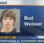 budweisser.jpg