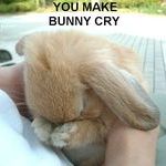 bunny.jpg