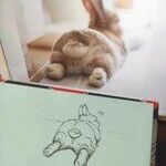 bunnyart.jpg