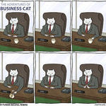 business_cat_at_work.jpg