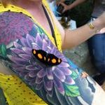 butterfly.jpg