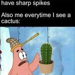 cactus3.jpg