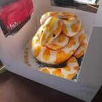 cake023.jpg